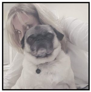 Meet your Posher, Ellen